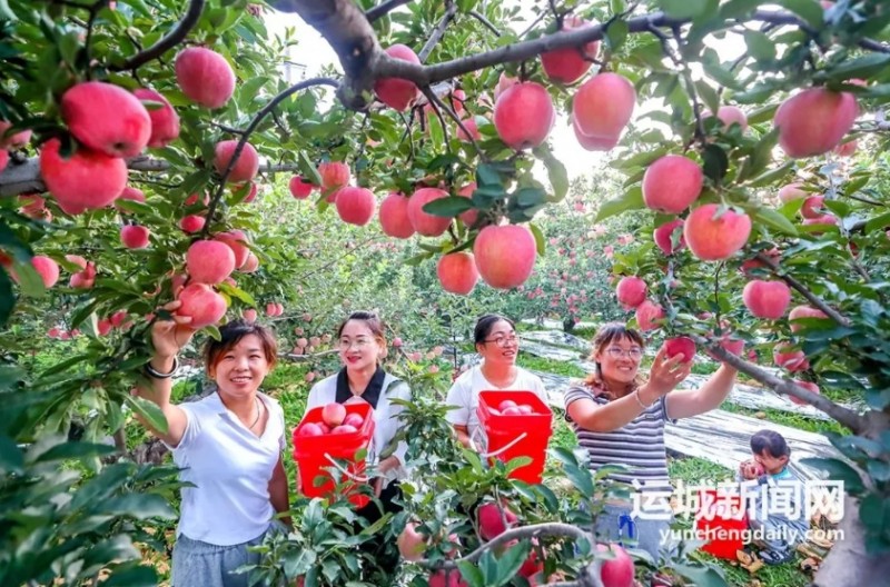 微信截图_20241031164830