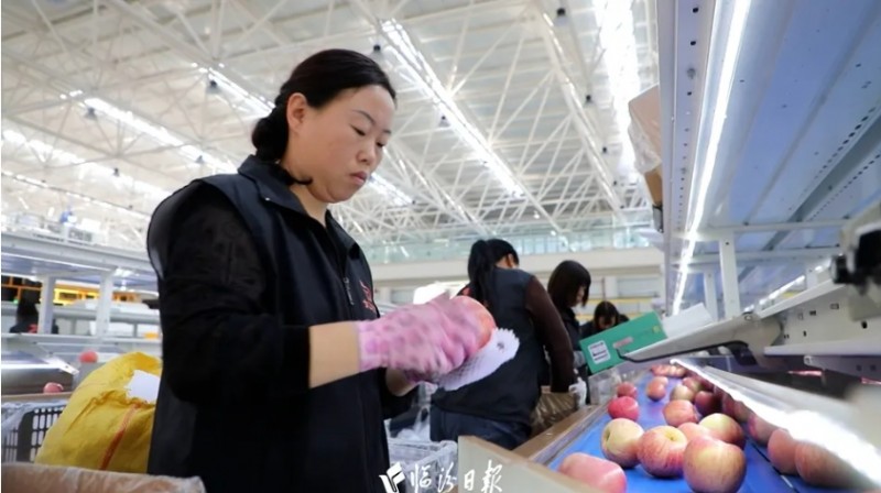 微信截图_20241101102155