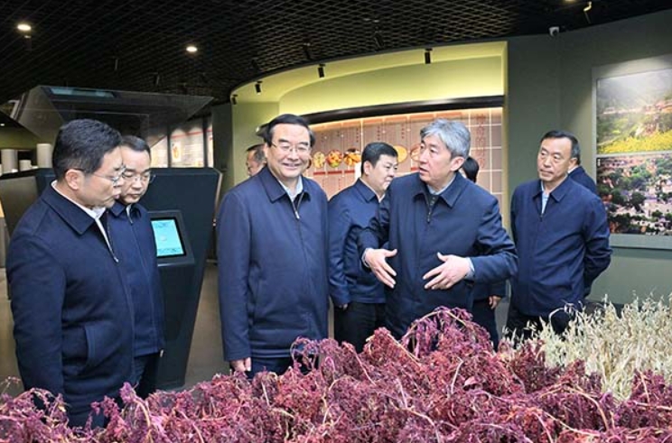 微信截图_20241103164007