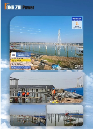 微信截图_20241104102656