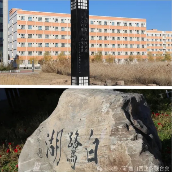 微信截图_20241105153523