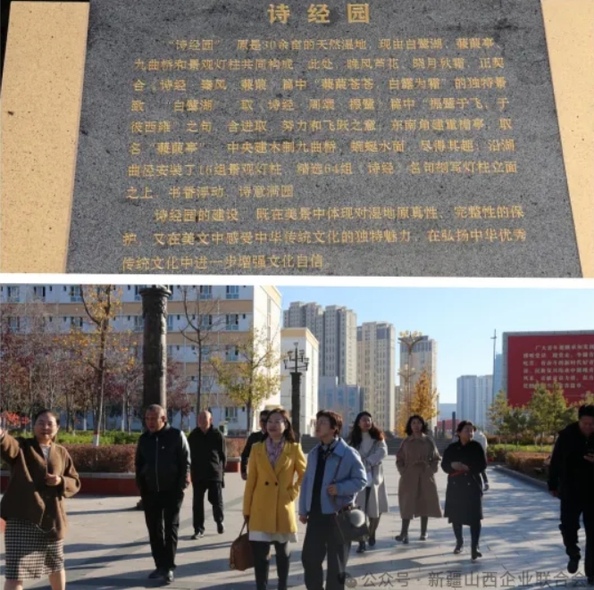 微信截图_20241105153632