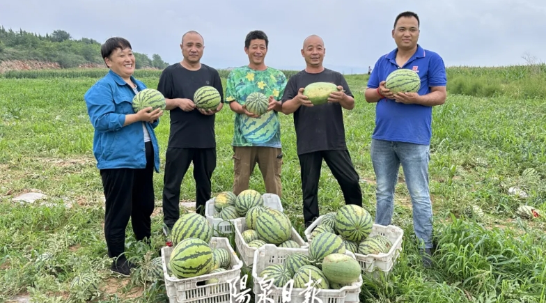 微信截图_20241105154906