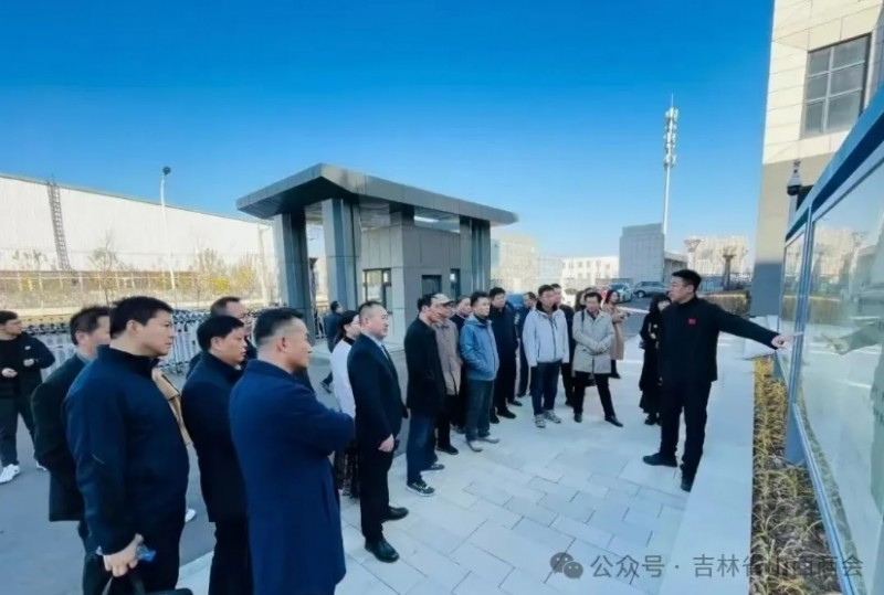 微信截图_20241105171635