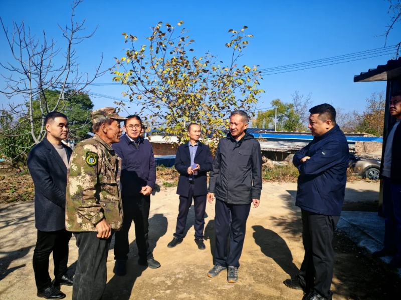 微信截图_20241106152732