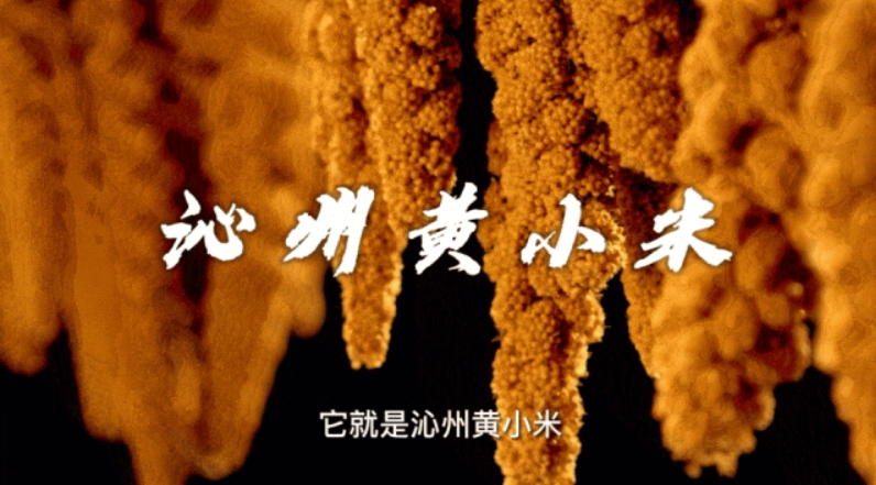 微信截图_20241106160504