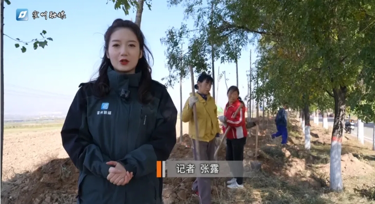 微信截图_20241107122222