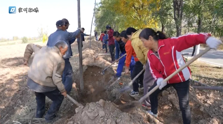 微信截图_20241107122302