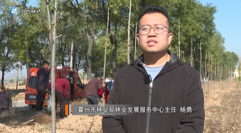 微信截图_20241107122406