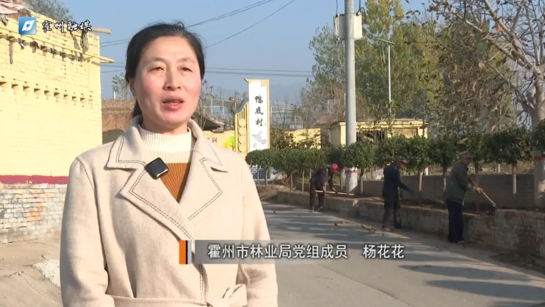 微信截图_20241107122439