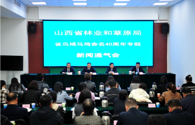 微信截图_20241108100503