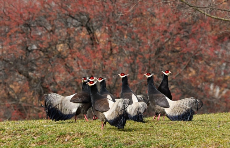 微信截图_20241108100544