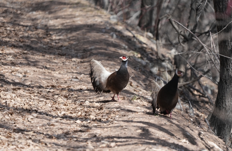 微信截图_20241108100604