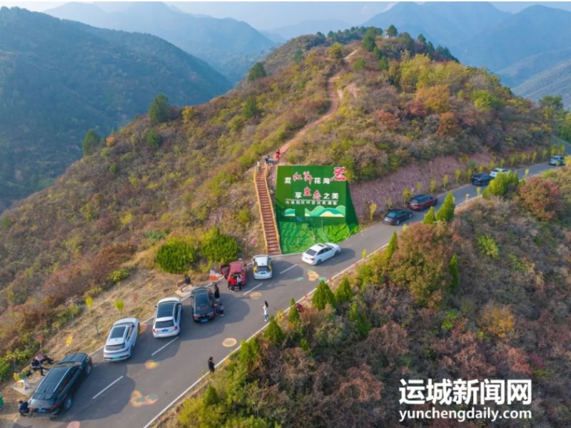 微信截图_20241118190003