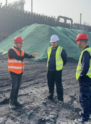 微信截图_20241119081745