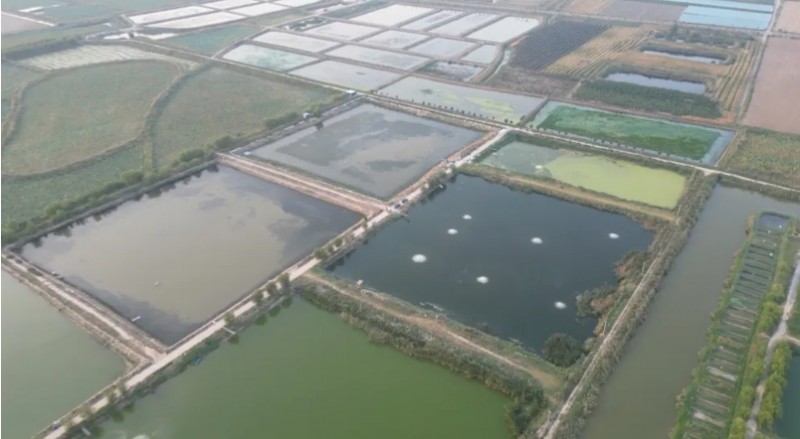 微信截图_20241119161442