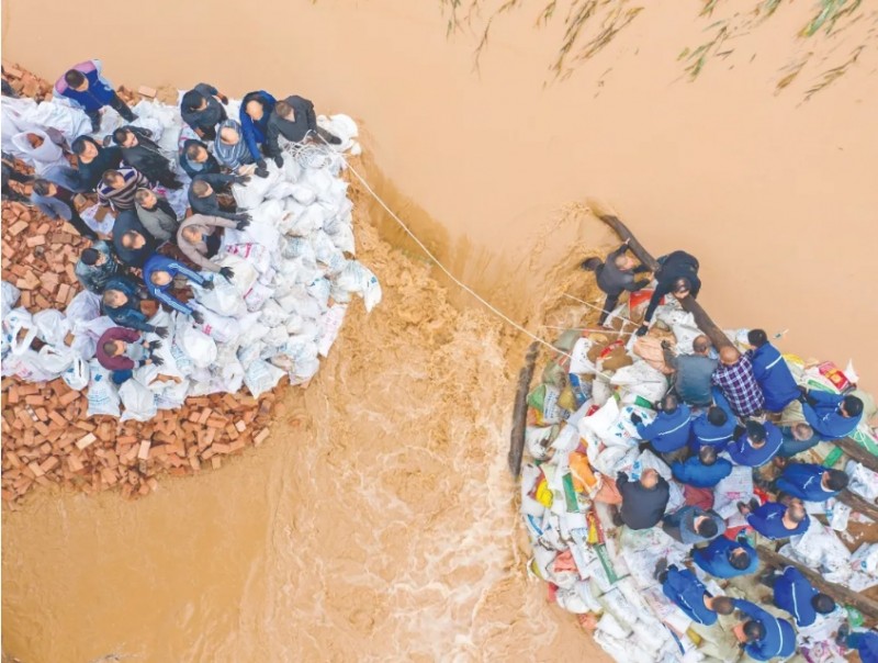 微信截图_20241129113904