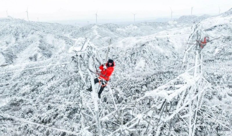 微信截图_20241129113912