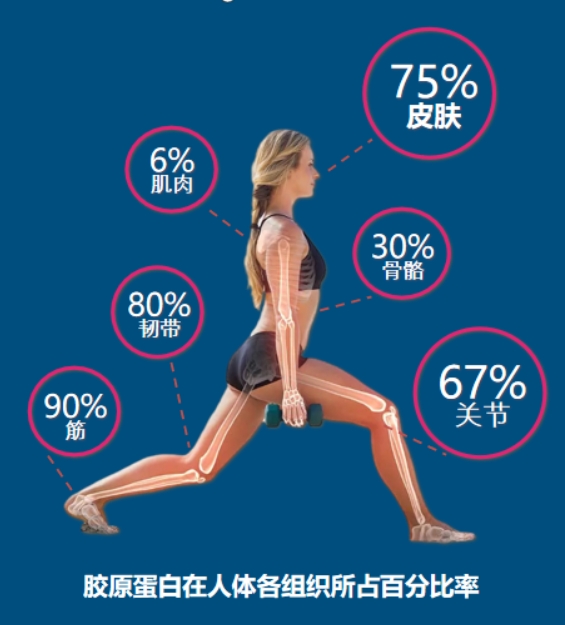 微信截图_20241211101143