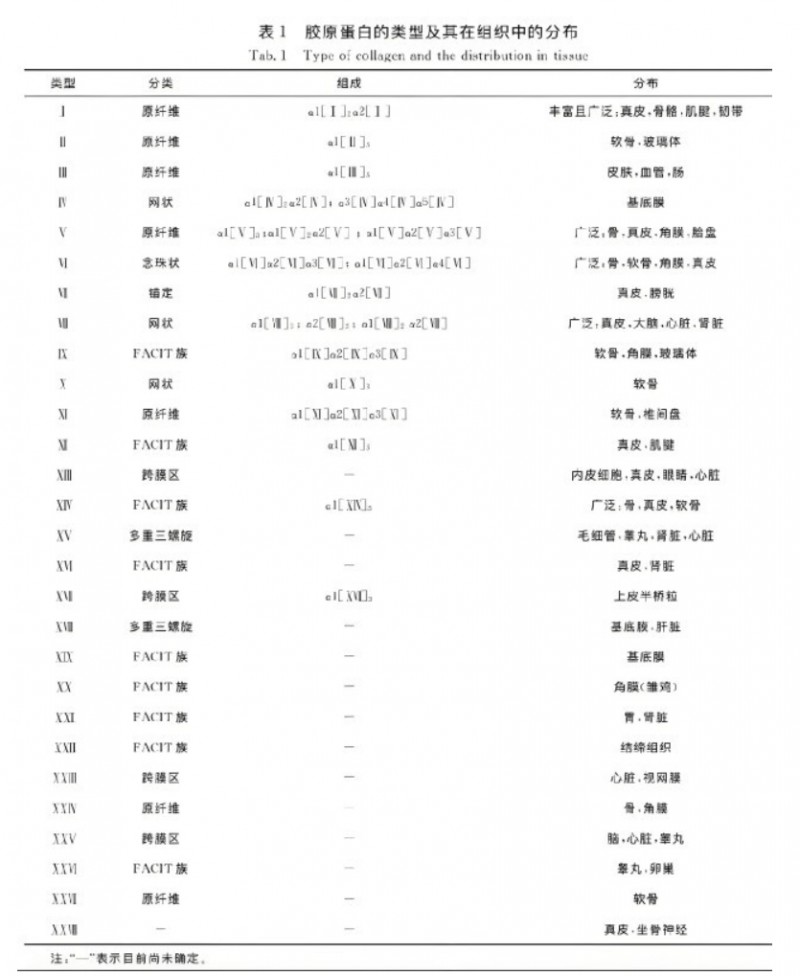 微信截图_20241211101158