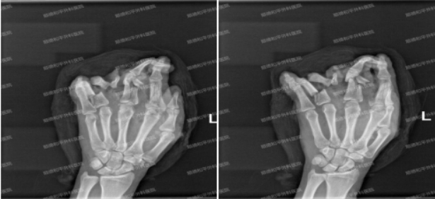 微信截图_20241231161713