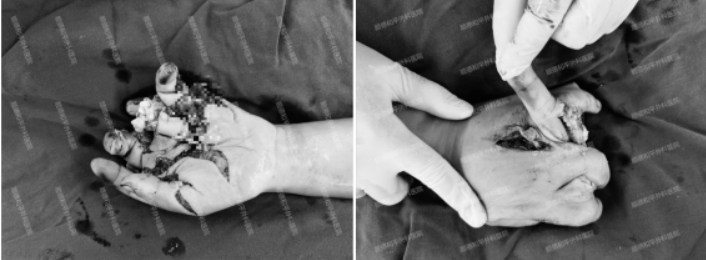 微信截图_20241231161722