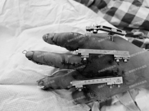 微信截图_20241231161731