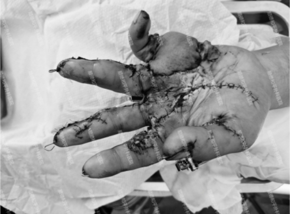 微信截图_20241231161743