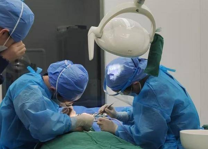 微信截图_20250108172429