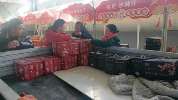 微信截图_20250110144046