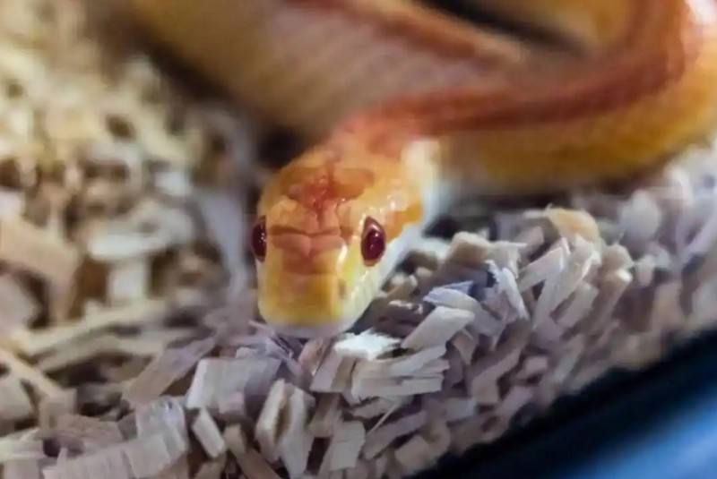 微信截图_20250208141808