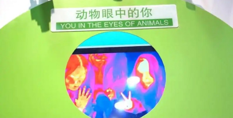 微信截图_20250208141827