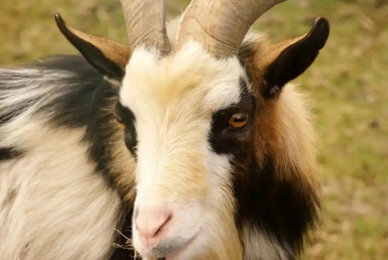 微信截图_20250208141920