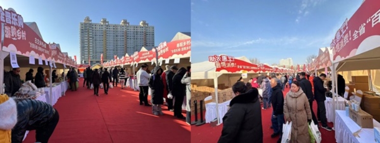 2025全晋乐购网上年货节暨乡村e镇消费帮扶活动总结