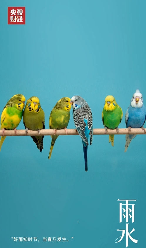 微信截图_20250218101706