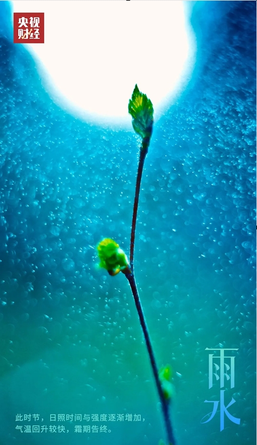 微信截图_20250218101559