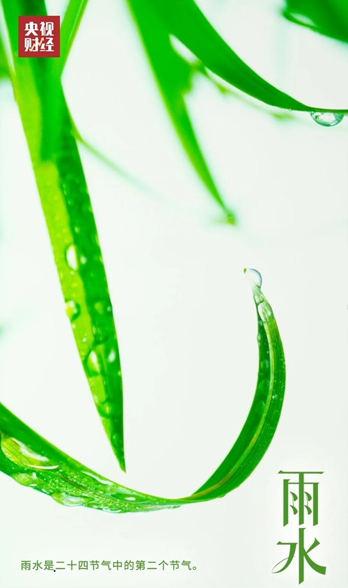 微信截图_20250218101630