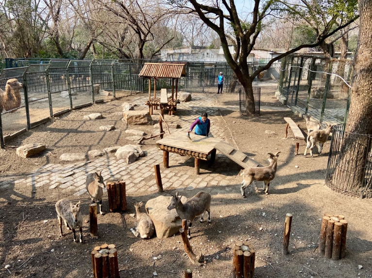 微信截图_20250220190424