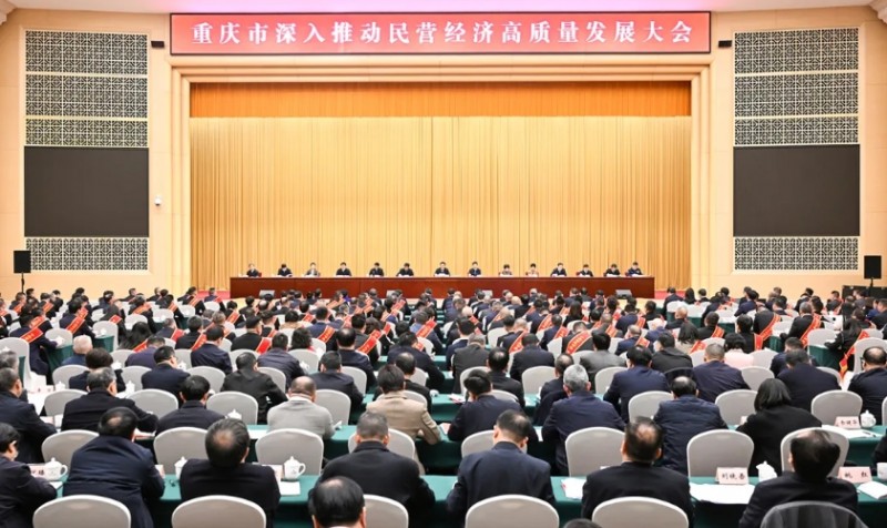 微信截图_20250224104743