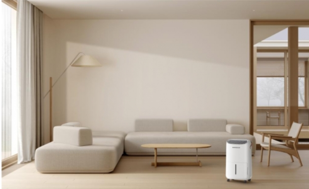 微信截图_20250226142615