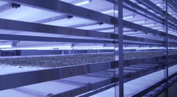 微信截图_20250227144253