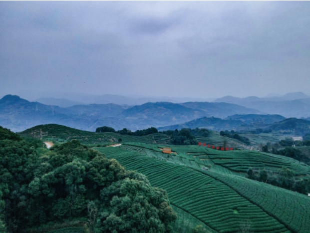 微信截图_20250227144434