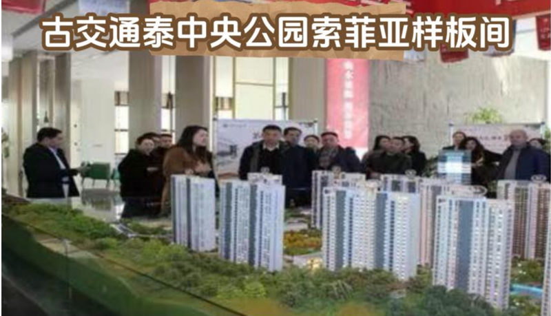 微信图片_20250310155543