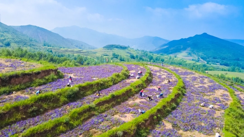 微信截图_20250318163036