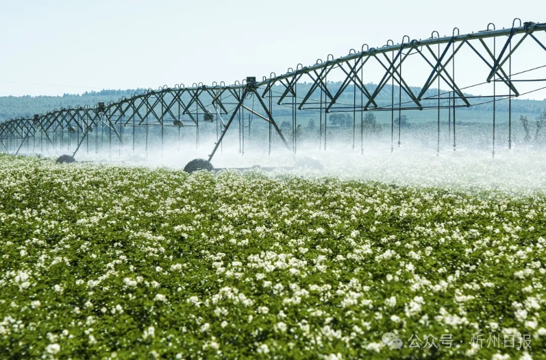 微信截图_20250318163119