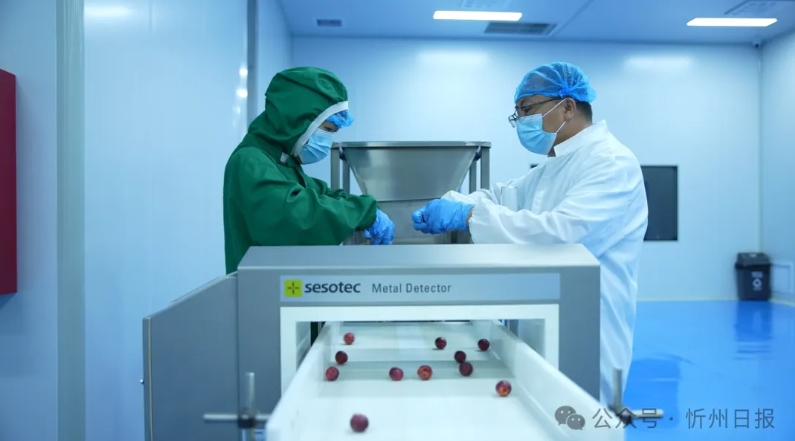 微信截图_20250318163142