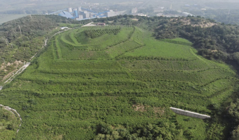 智德股份摘牌计划“急刹车”,北交所IPO败退后新三板“反复横跳”为哪般?