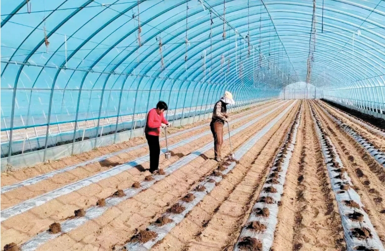 微信截图_20250331104409