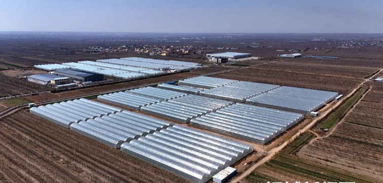 微信截图_20250403141828