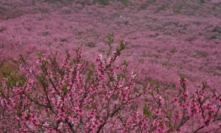 微信截图_20250407142831